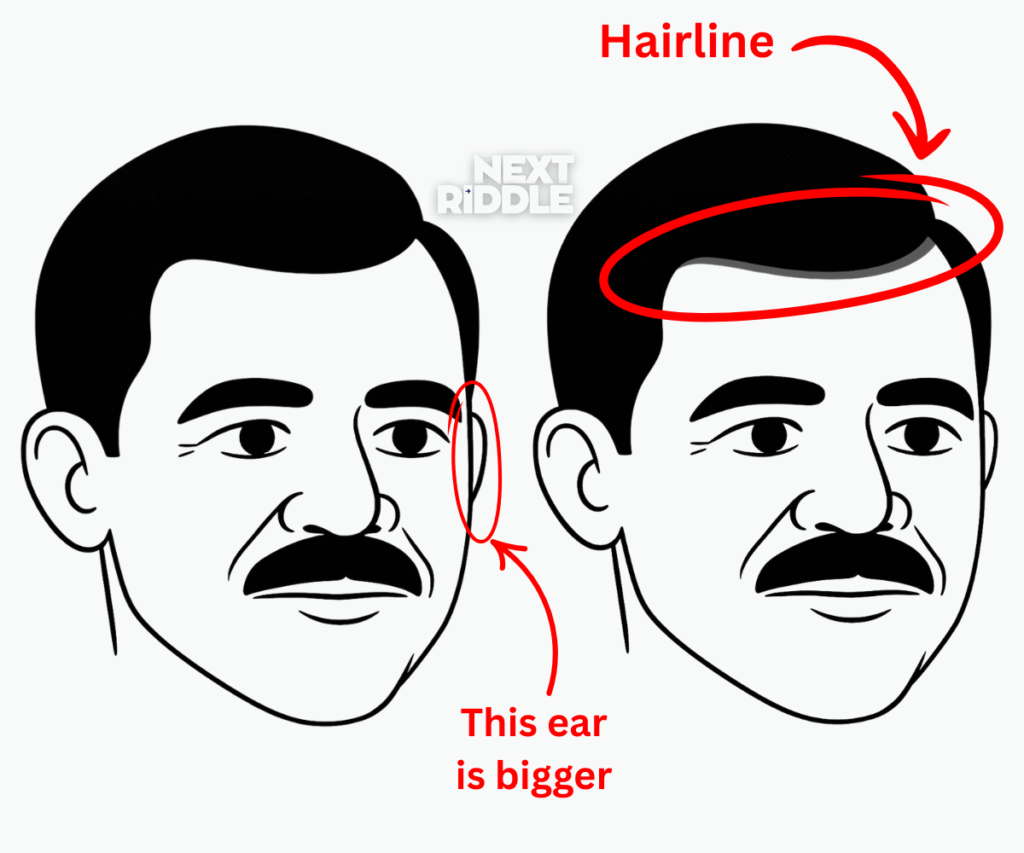 At first glance, these faces look identical — but two subtle differences are hidden in plain sight. Can you spot them?